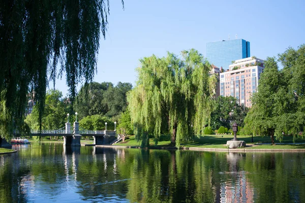 Den offentliga trädgården i Boston — Stockfoto