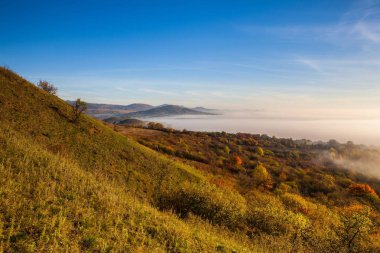 Puslu sabah Central Bohemian Highlands, Çek Cumhuriyeti