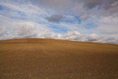 Sonbahar sahne sürülmüş alanıyla Central Bohemian Highlands, Çek Cumhuriyeti