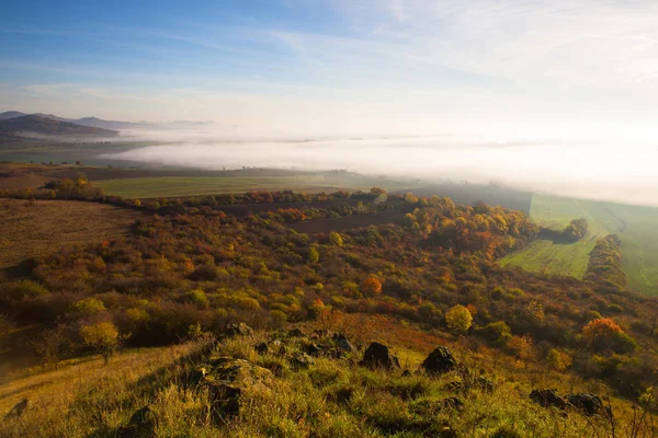 Misty Πρωί Φθινόπωρο Highlands Της Κεντρικής Βοημίας Δημοκρατία Της Τσεχίας — Φωτογραφία Αρχείου