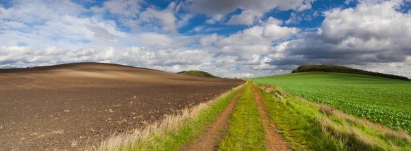 Camino Vacío Las Tierras Altas Bohemia Central República Checa — Foto de Stock