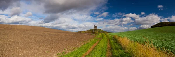 Op de lege weg tussen velden, Tsjechië — Stockfoto