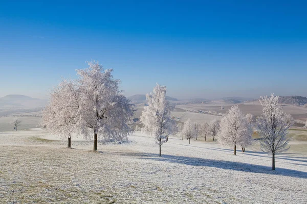 Snow Hoarfrost Covered Trees Frosty Morning Amazing Winter Landscape — Stock Photo, Image