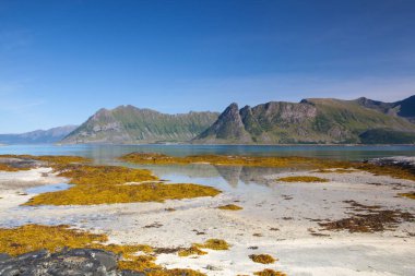 Sahilde Gimsoysand, Norveç