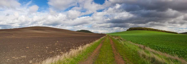 Op de lege weg tussen velden in de herfst — Stockfoto