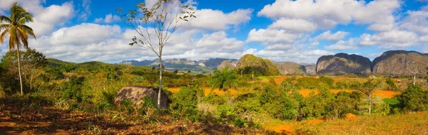 Célèbre Cuba terres agricoles zone de tabac, Vallée de Vinales, Cuba . — Photo