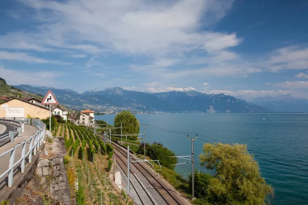 Lavaux Svizzera Luglio 2015 Vigneti Vicino Alla Stazione Ferroviaria Della — Foto Stock