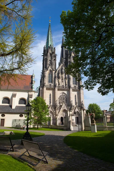 Olomouc Czech Republic May 2017 Saint Wenceslas Cathedral Gothic Cathedral — Stock Photo, Image