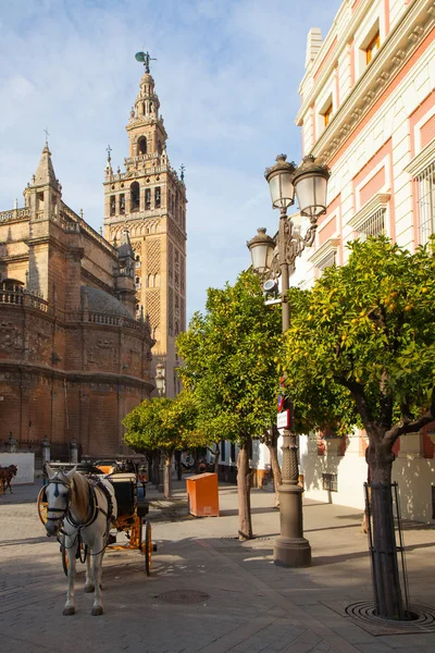 Sevilla España Noviembre 2016 Catedral Sevilla España Catedral Gótica Más — Foto de Stock