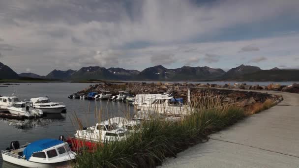 Mały Port Wybrzeżu Norwegii — Wideo stockowe
