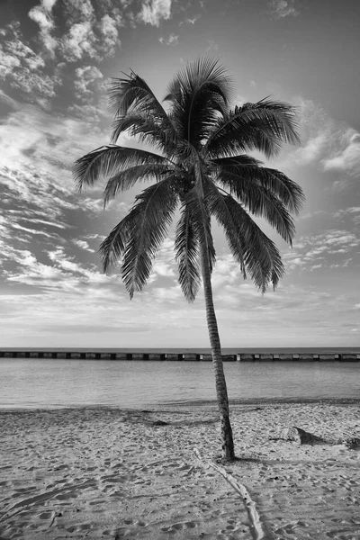 On the beach Playa Giron, Cuba. — Stock Photo, Image
