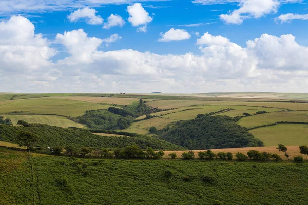 Typowy krajobraz w Devon, Wielka Brytania — Zdjęcie stockowe