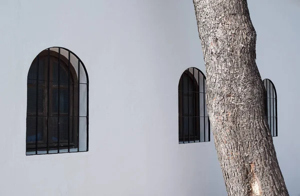 Tre finestre e dettaglio dell'albero di fronte all'edificio bianco — Foto Stock
