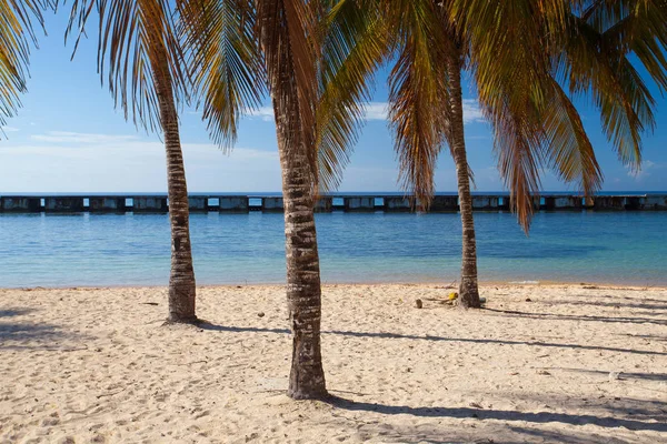 On the beach Playa Giron, Cuba. — Stock Photo, Image