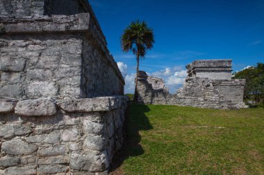 Tulum, Meksika için görkemli Harabeleri