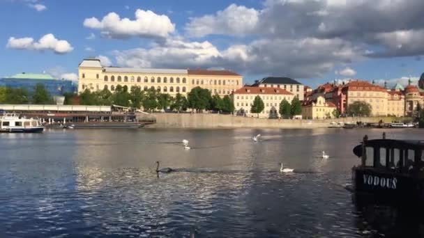 Прага Чехия Апреля 2018 Года Вид Реку Влтаву Карлов Мост — стоковое видео