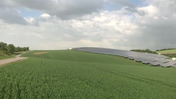 硅太阳能面板上绿色玉米田 — 图库视频影像