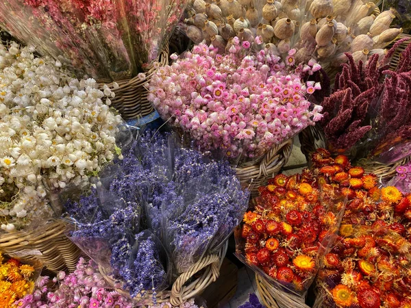 Marché aux fleurs à Amsterdam, Pays-Bas — Photo