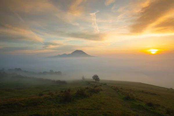 Misty πρωί στα κεντρικά υψίπεδα Βοημίας, Τσεχική Δημοκρατία. — Φωτογραφία Αρχείου