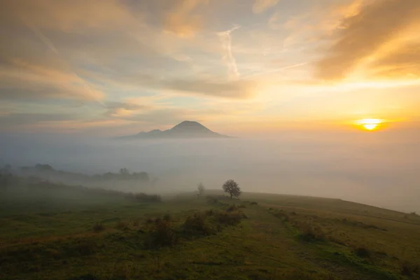 Misty πρωί στα κεντρικά υψίπεδα Βοημίας, Τσεχική Δημοκρατία. — Φωτογραφία Αρχείου