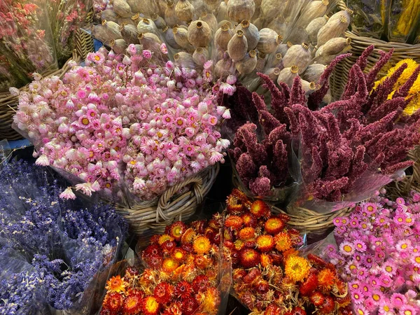 Marché aux fleurs à Amsterdam, Pays-Bas — Photo