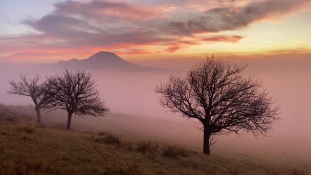 Blick Vom Rana Hügel Nebliger Morgen Mittelböhmischen Hochland Tschechien Mittelböhmisches — Stockvideo