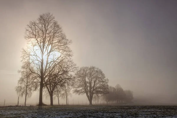 Paisagem de inverno na névoa dramática da manhã . — Fotografia de Stock