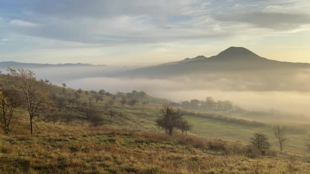 Uitzicht Vanaf Rana Heuvel Misty Ochtend Midden Boheemse Hooglanden Tsjechië — Stockvideo