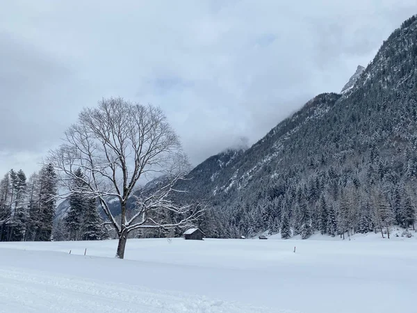 Paysages d'hiver à Leutasch, Autriche — Photo