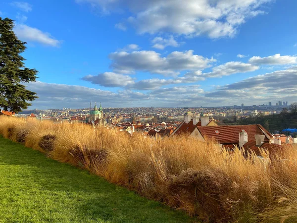 Utsikt Från Trädgården Bredvid Schwarzenberg Palace Det Betydande Early Renaissance — Stockfoto