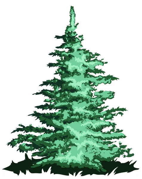 Vector Bestand Pine Tree — Stockvector