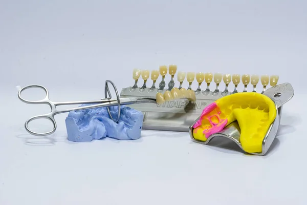 Dental color scale, clamps and molds — Stock Photo, Image