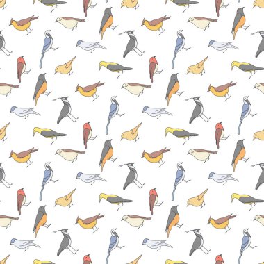 Kuşlarda kusursuz desen