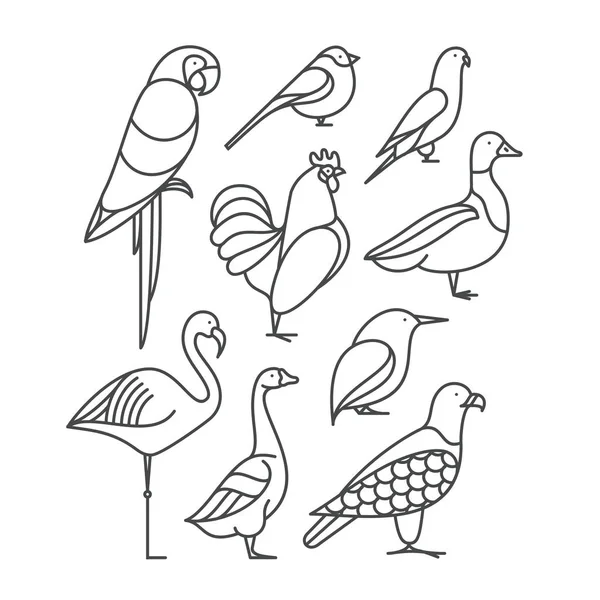 Ensemble d'icônes d'oiseaux — Image vectorielle