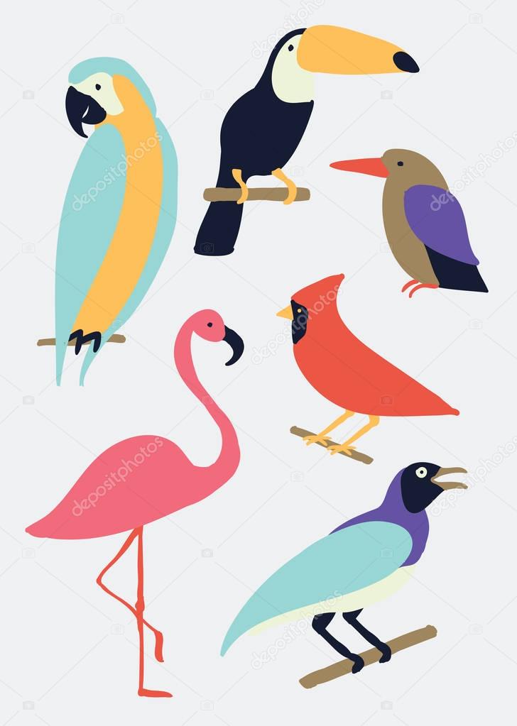 beautiful birds set