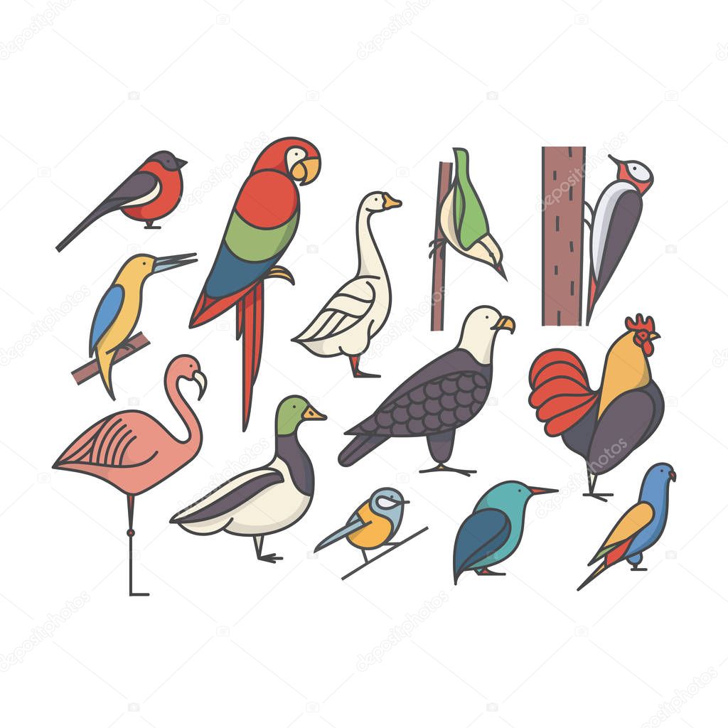 Icon set of birds