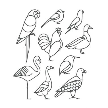 Kuşlar doğrusal Icons set