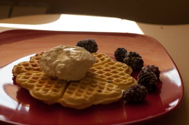 Çilek (kuş üzümü, çilek) ve dondurma ile Belçika waffle