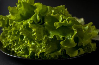 Salata yaprağı. Siyah arka plan üzerine marul.