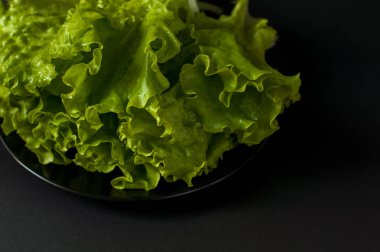 Salata yaprağı. Siyah arka plan üzerine marul.