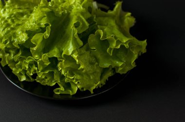 Salata yaprağı. Siyah arka plan üzerine marul.