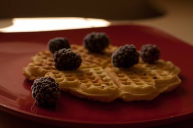 yaban mersini ile lezzetli waffle