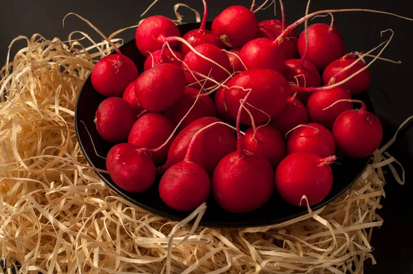 Kırmızı Avrupa turp / kırmızı turp / kırmızı siyah bir zemin üzerine doğal Avrupa turp