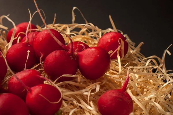 Kırmızı Avrupa turp / kırmızı turp / kırmızı siyah bir zemin üzerine doğal Avrupa turp