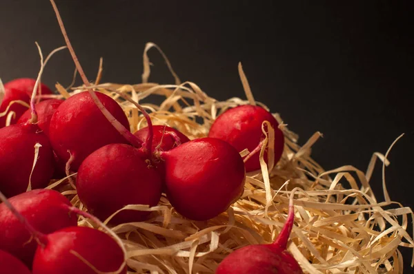 Kırmızı Avrupa turp / kırmızı turp / kırmızı siyah bir zemin üzerine doğal Avrupa turp