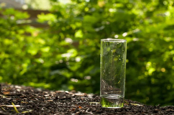 Empty transparent cylindrical glass over wooden table at restaurant, outdoor terrace, extreme shallow of depth field,space for copy text — Stock Photo, Image