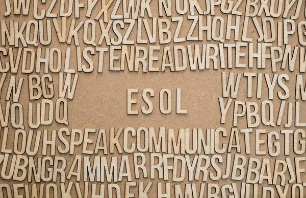 ESOL is english for speakers of other languages.