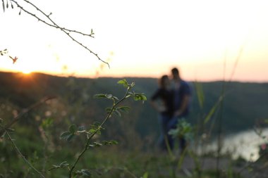 insan siluetleri karşı bitkiler