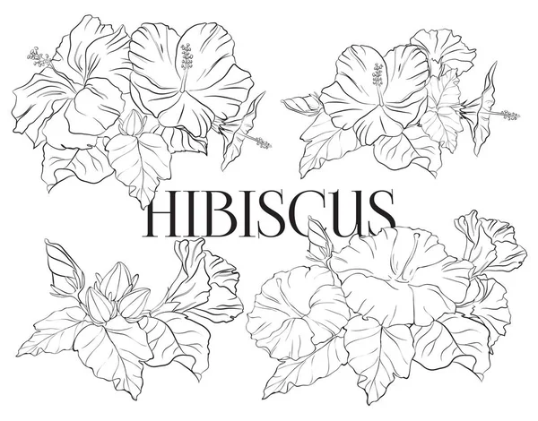 Conjunto de flor de hibisco dibujada a mano. Colorida colección de flores tropicales. Hermosa composición floral con flores exóticas de malva rosa — Vector de stock