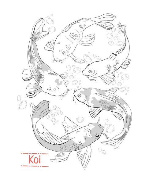 黒と白の手描き鯉のセット — ストックベクタ